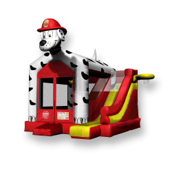 Dalmatian Combo