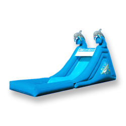 Dolphin Splash Down Water Slide